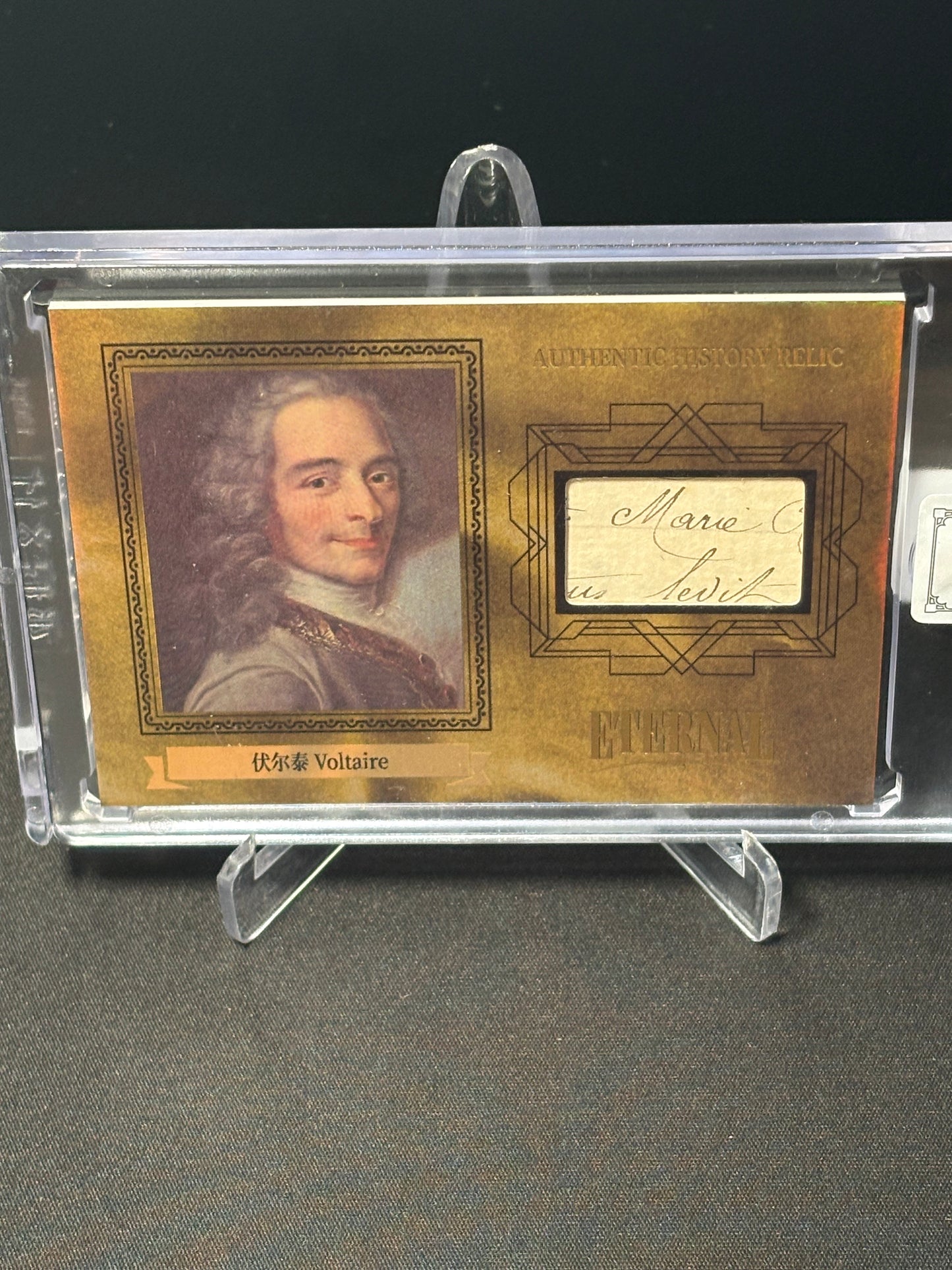 Voltaire Memo 2024 Eternal Cuts "World Celebrities /10"