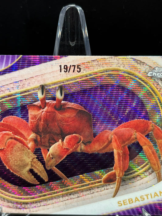 Sebastian Topps Chrome Disney 2025 « Purple Wave Refractor » /75
